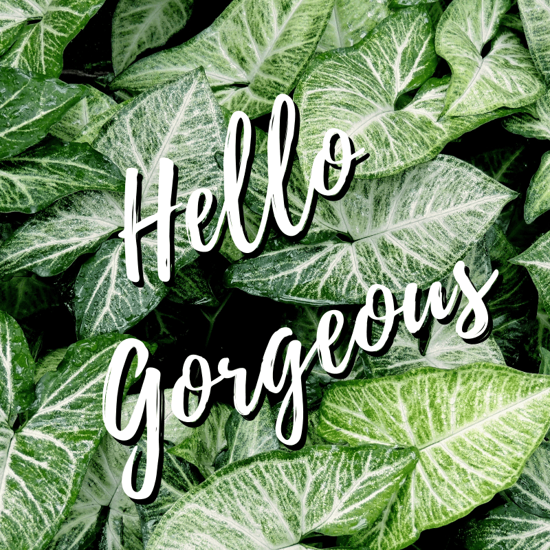 Hello, Hello … I’m Crissi Ro&nbsp;ツ